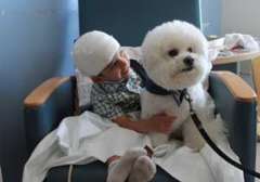 Patient with a dog