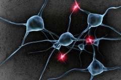  Time Cells in the Brain