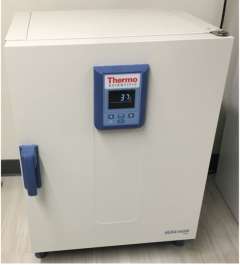 Thermo Scientific HeraTherm incubator