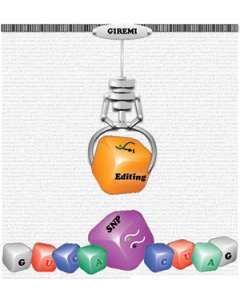 Graphic illustrating a claw machine lifting an orange block labeled "Editing" with colored blocks below.
