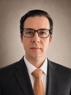 Gabriel A. Vignolle, PhD