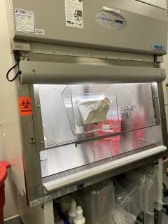 Biosafety Cabinet for Eye Injection