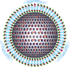 Dual drug delivery nanocarrier schematic