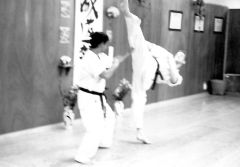 Nir Hoftman doing karate