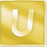 Donor tribute medallion U