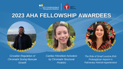 2023 AHA Fellowship Awardees