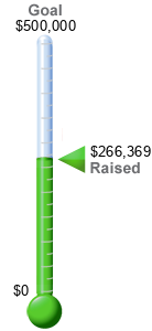 Fundraising therometer graphic