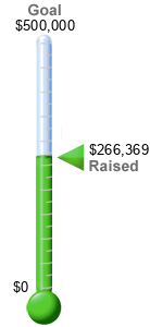Fundraising therometer graphic