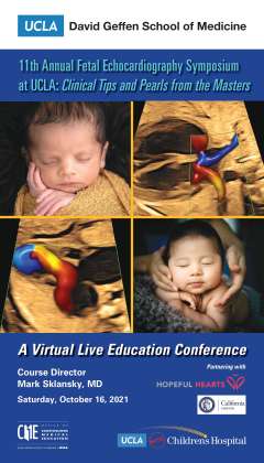 Flyer for Fetal Echocardiography event