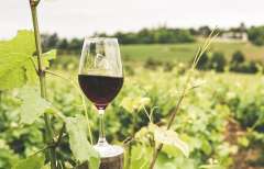 glass-filled-with-wine