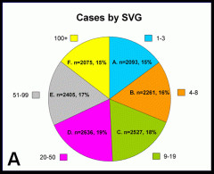 Distribution of cases