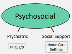 Psychosocial presentation graphic cropped