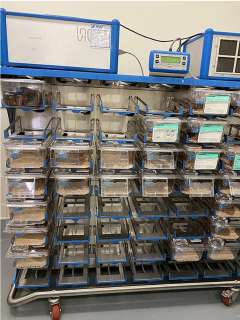 Special Isolator Cage Rack