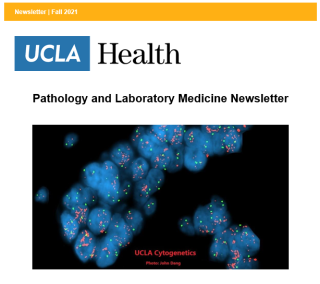 Department Newsletters - Pathology | UCLA Health
