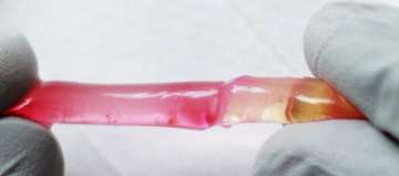 Self-healing biomaterials and soft robotics: 