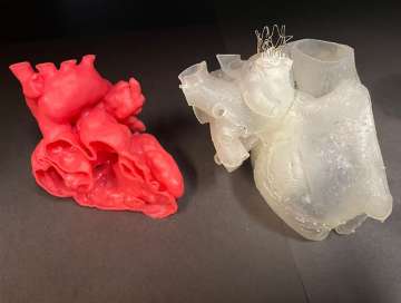 3D printed hearts for pre-surgical planning(red) and cardiac catheterization (clear).