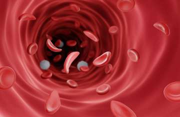 vein with blood flow