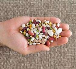 Open hand holding variety of beans