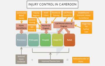 Injury Control in Cameroon chart