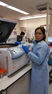 Laboratory Session 2