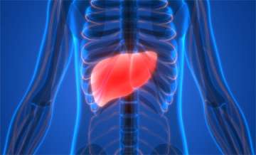 Liver Transplant Anesthesiology