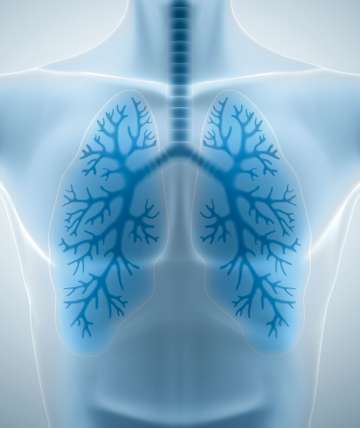 Lung Scan Illustration