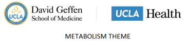 Metabolism Theme Logo