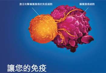 Brochure in Mandarin