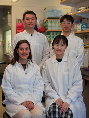 Clockwise from top left: Yanruide (Charlie) Li, Yichen Zhu, Yuning Chen and Gabriella DiBernardo, all four wearing white lab coats