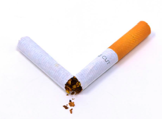 Broken cigarette with tobacco spilling out on a white background.