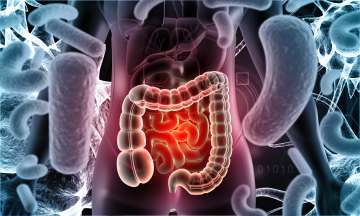 Gastrointestinal Cancers and Microbiome