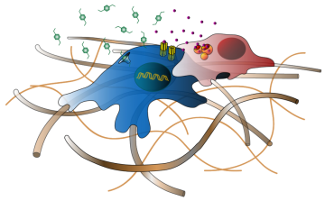Engineered ECM mimetics