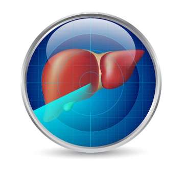 Illustration of a liver in a circular scan graphic.