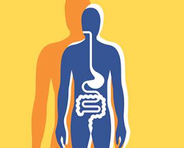 Yellow and orange background with a blue person figure showing intestines