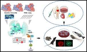 Diagram - Touma Lab