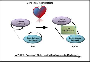 Diagram about Congenital Heart Defects with several boxes depicting the defects