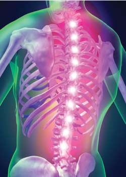spine pain