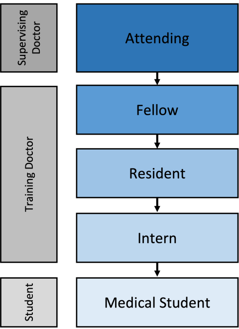 Mattel Hospital Child Patient Heirarchy