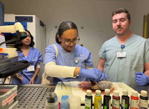 Pathologist Assistant with the Turner Allied Internship Group