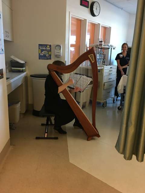 Volunteer harpist playing outside of ICU room