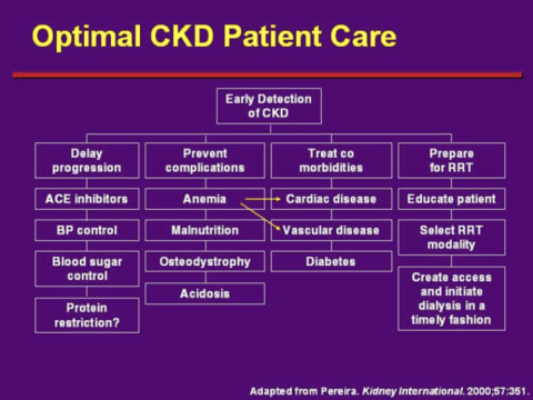 Flowchart outlining optimal care for chronic kidney disease (CKD) management.