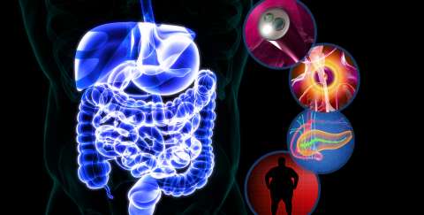 Danny Issa Lab at UCLA