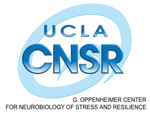 CNSR logo
