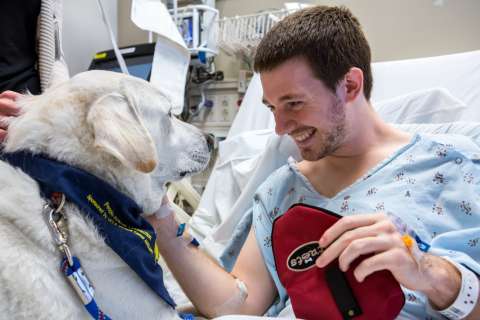 PAC dog Finn at work