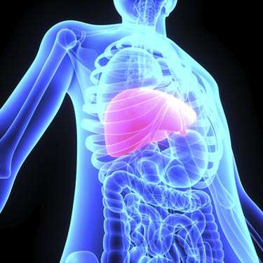 Glowing liver inside of blue body