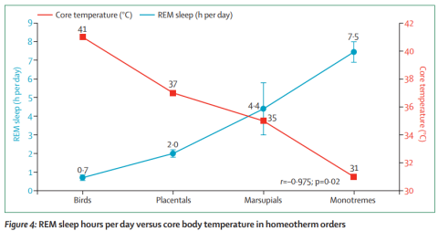 This chart shows an inverse relationship in REM sleep hours per day versus core body temperature