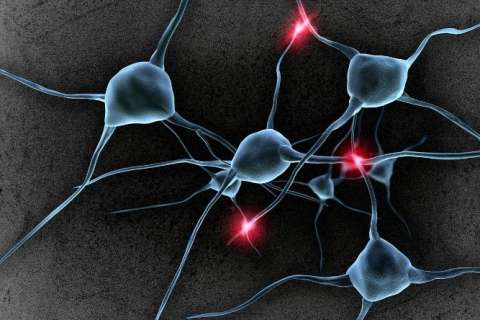 Timing Cell Time Cells in the Brain - Neurology | UCLA Health