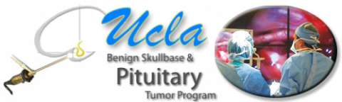 UCLA Pit Skullbase logo