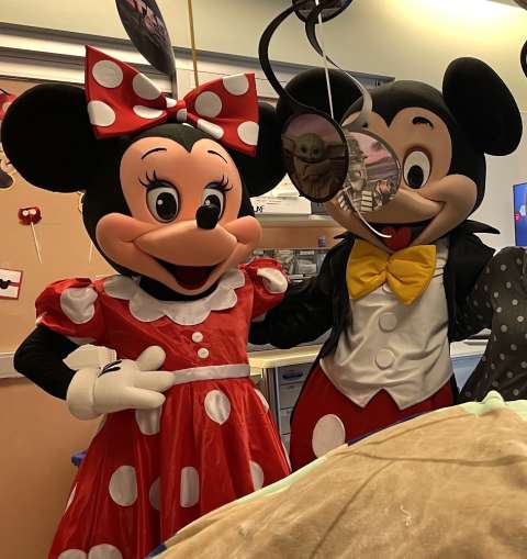 mickey and minnie
