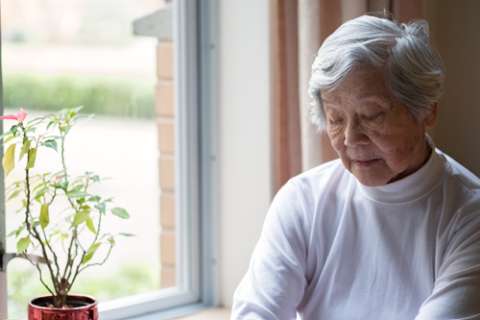 Old woman sitting next to a window with a small plant on the sill